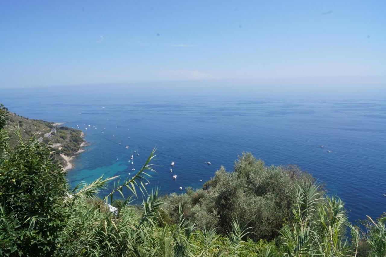 Total Sea View Grimaldi Apartment Ventimiglia Exterior foto
